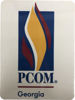 Picture of Car Magnet with PA, GA, South GA or Alumni logo
