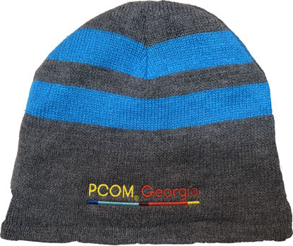 Picture of PCOM  Wool Hat Beanie embroidered with PA, GA or South GA logo