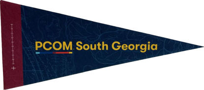 Picture of PCOM PA, GA and South GA Pennant