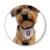 Picture of PCOM  Pet Scarf - choice of design and logo