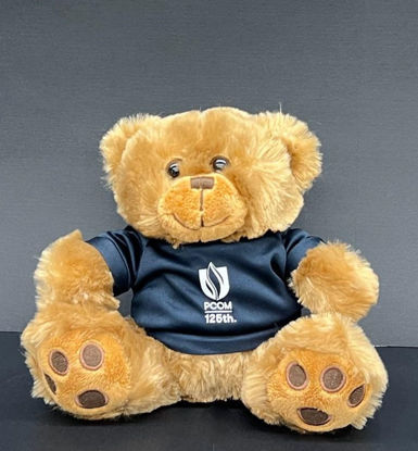 Picture of PCOM 125th Anniversary Big Paw Brown Bear