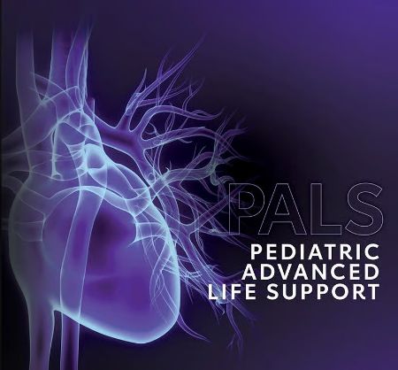 Picture for category Pediatric Advanced Life Support (PALS) Workshop
