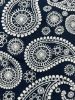 Paisley design